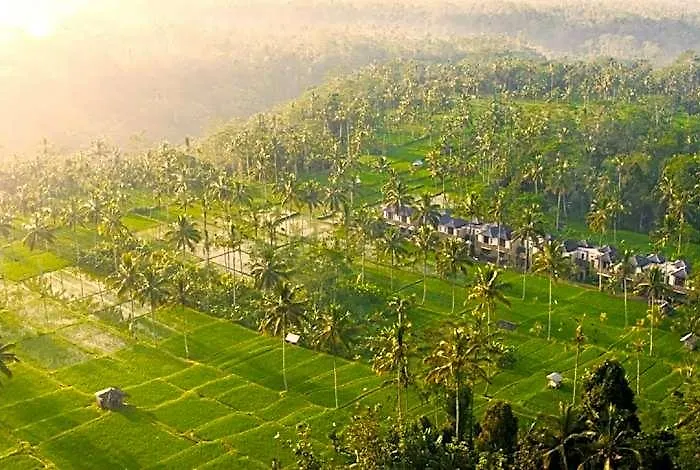 Stanagiri Ubud Seribatu